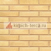 Кирпич керамический пустотелый Terca® SAFARI шероховатый 250*120*65